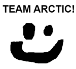 The Team Arctic