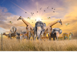 Animals fan group!!!