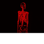 +*D0OM$ CLAN*+