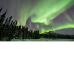Aurora Army