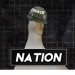 The Nooby Ducks