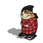 Skater Chomik