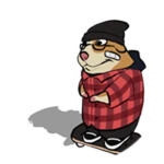 Skater Chomik