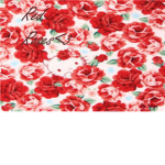 RED R0SES~