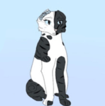 .~ spottedflower’s film crew + more ~.