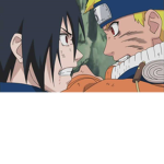 Ninjas forever