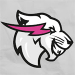 Beast Philanthropyᅠ