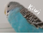 Mrs. Kiwi inc.