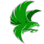 TheNeonFalcons