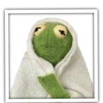 Kermit~the~Avocado