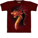 #teh DRAGON SQAUD