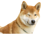 [Doggo Doggo Group]