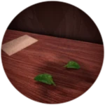 Herb Of Viridis