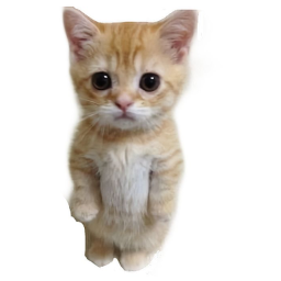 Raise a Gato (FANMADE)
