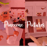 ~Pinecone Pictures~