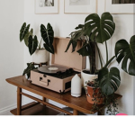 Plant xclub