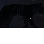 Warrior cats RP Group!~!