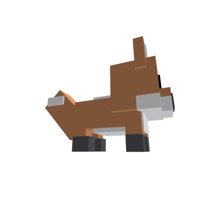 red fox
