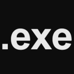 exe I by ray and vor
