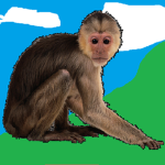 Monkeys Of The Cult