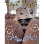 Flxffy’s Flowers!