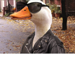 The Ducky Group...