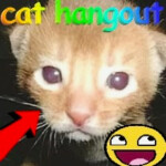 cat hangout