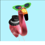 FLAMINGOP FAN CLUB
