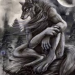 Wolfyy gang