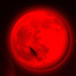 Galaxy_Dog