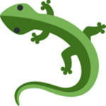 Team Lizards!!!