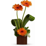 ~modern flowers~