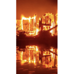 My dog died in a fire