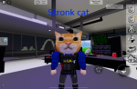CATFOODS
