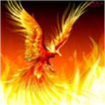 FireNet Empire