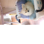 새상놀이터팬그룹