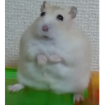 $̵̥̞͕̖̊̑̇͝$̵̥̞͕̖̊̑̇͝$