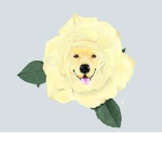 The Rose Squad Official