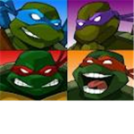 teenage mutant ninja turtles fan club [tmntfc]