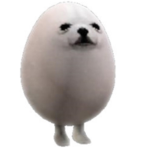 Cult of egg dog