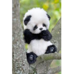 Panda are the best:)