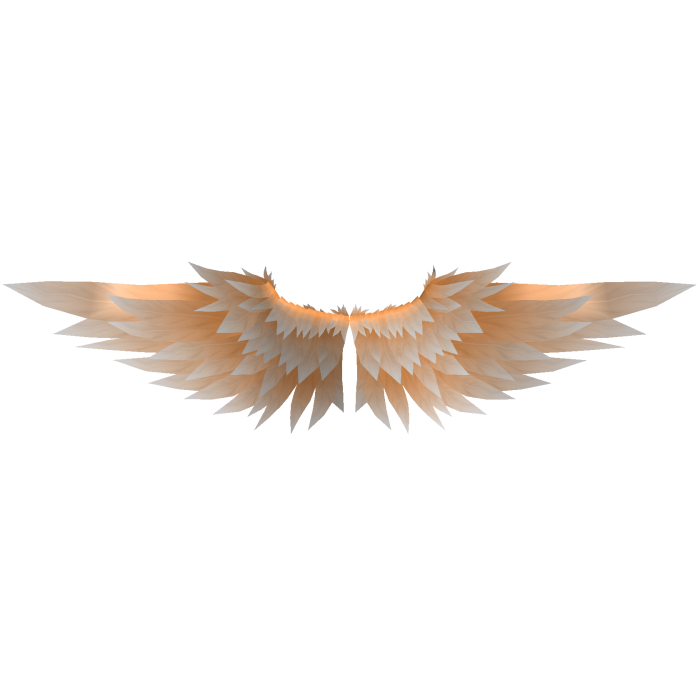 Gold Angelic Wings