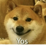 Doge Burrito Clan