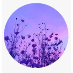 Violet Kingdom