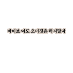 당신은 바이브인가요?