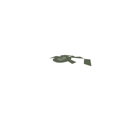rally(with an spawn point)