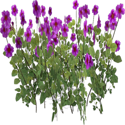 Purple Flower Bush Roblox decal