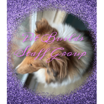 Pet Builds Staff Group!