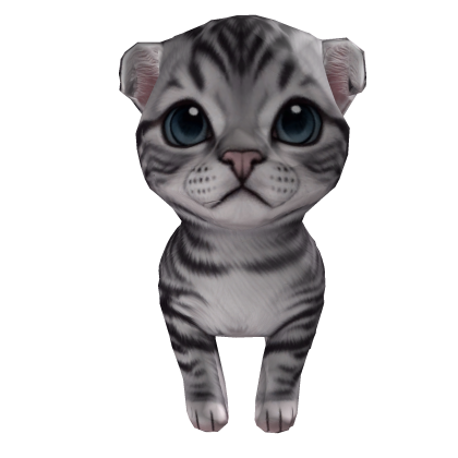 ScottishCat [on the head] Roblox item