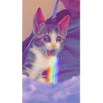 Meow hacks